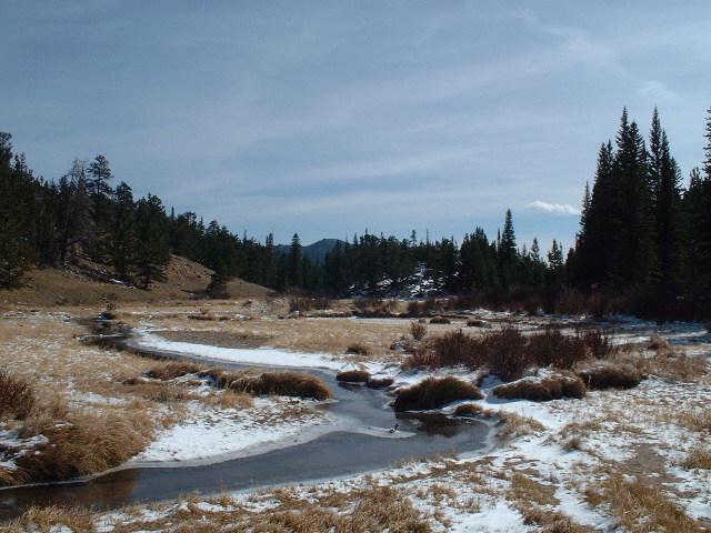 Beaver stream