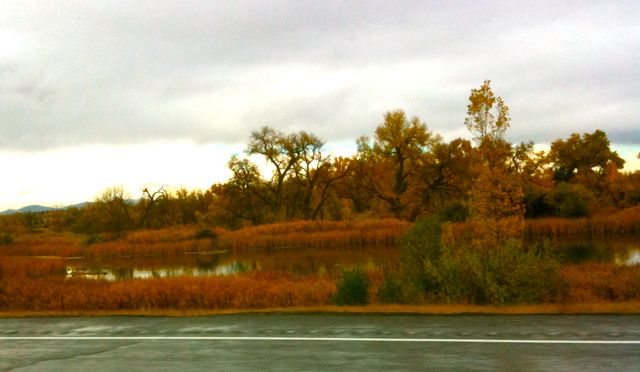 Autumn drive in Colorado