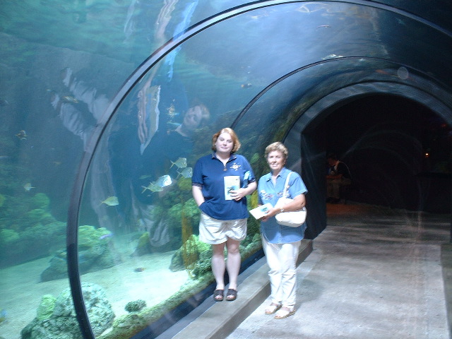 Undersea tourists