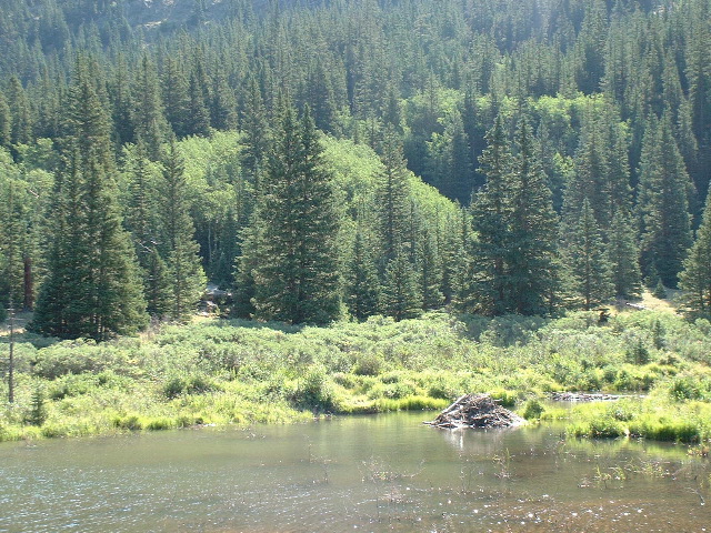 Beaver's lake