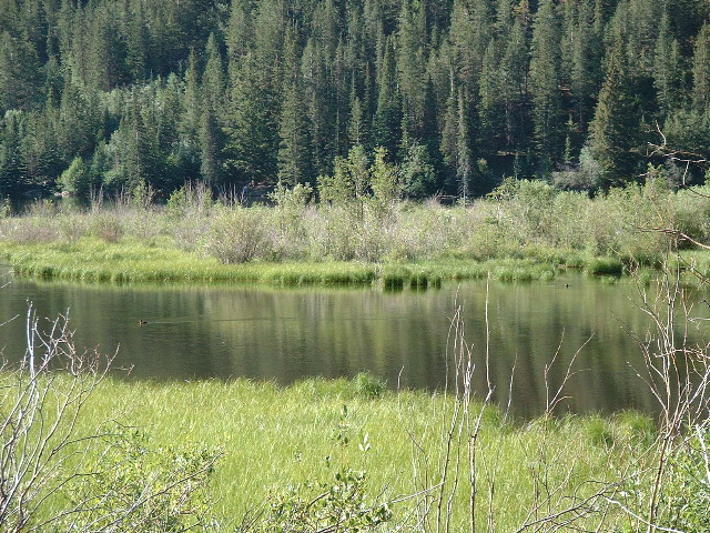 High altitude duck pond