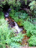 Mountain stream