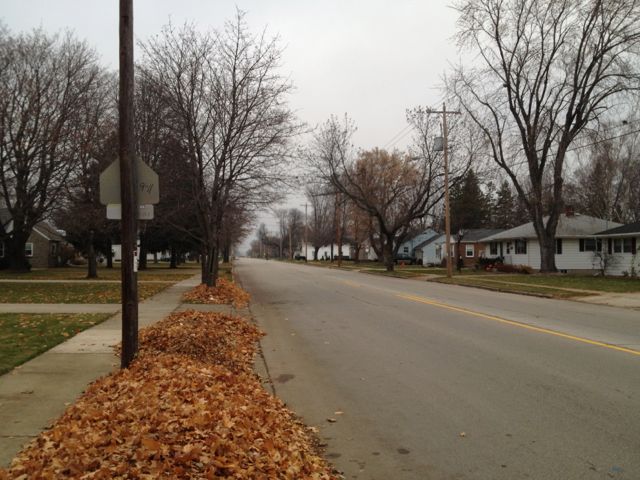 Better get rid of those leaves before the snow comes